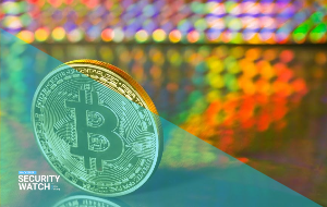Bitcoin Casino Accounts Exposed Bitcoin Casino Accounts Exposed